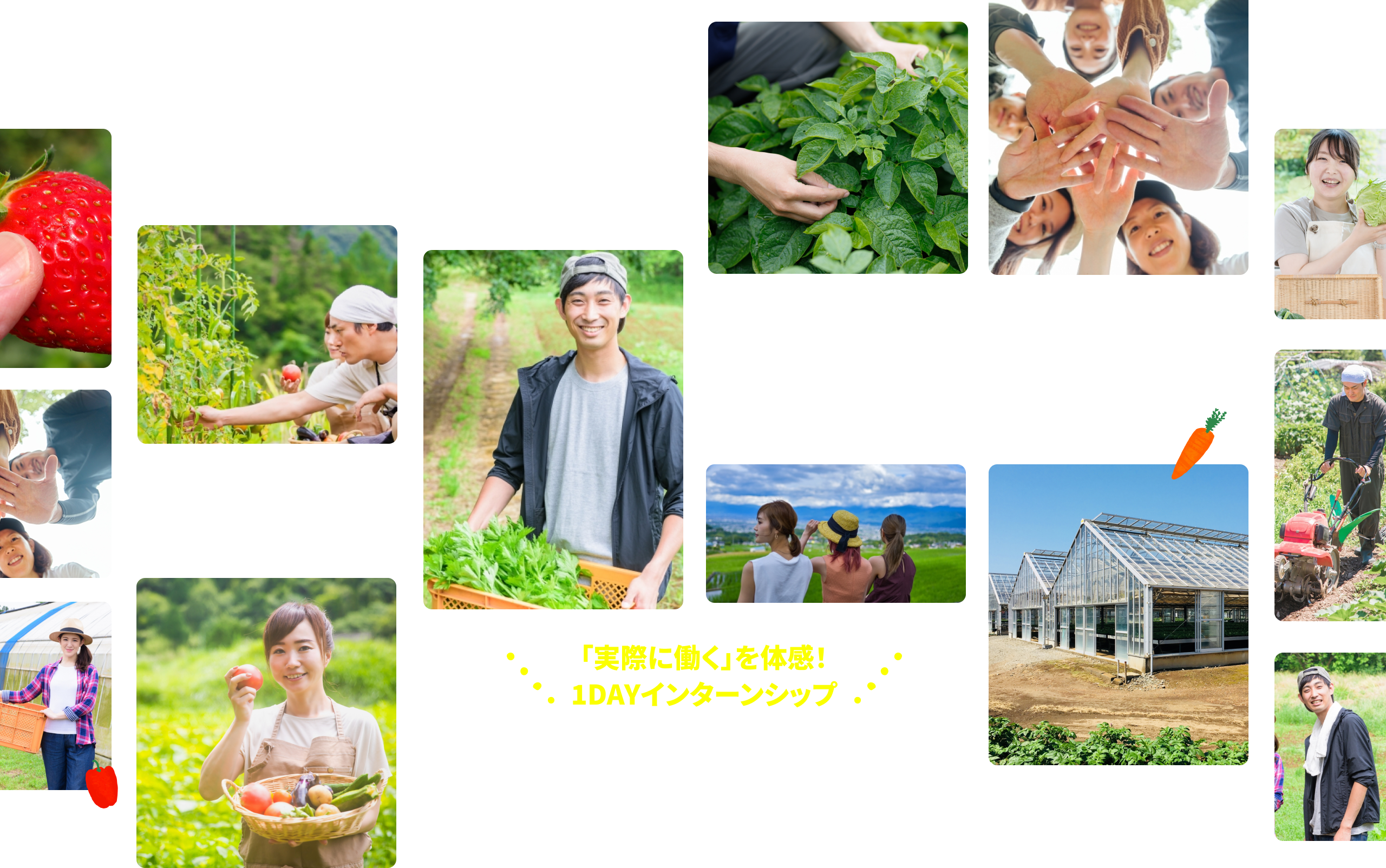 「体験」から「就農」まで、あなたの一歩を応援します